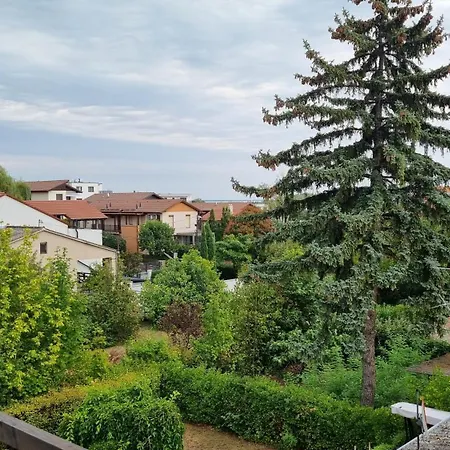 Dg Balatonfured
